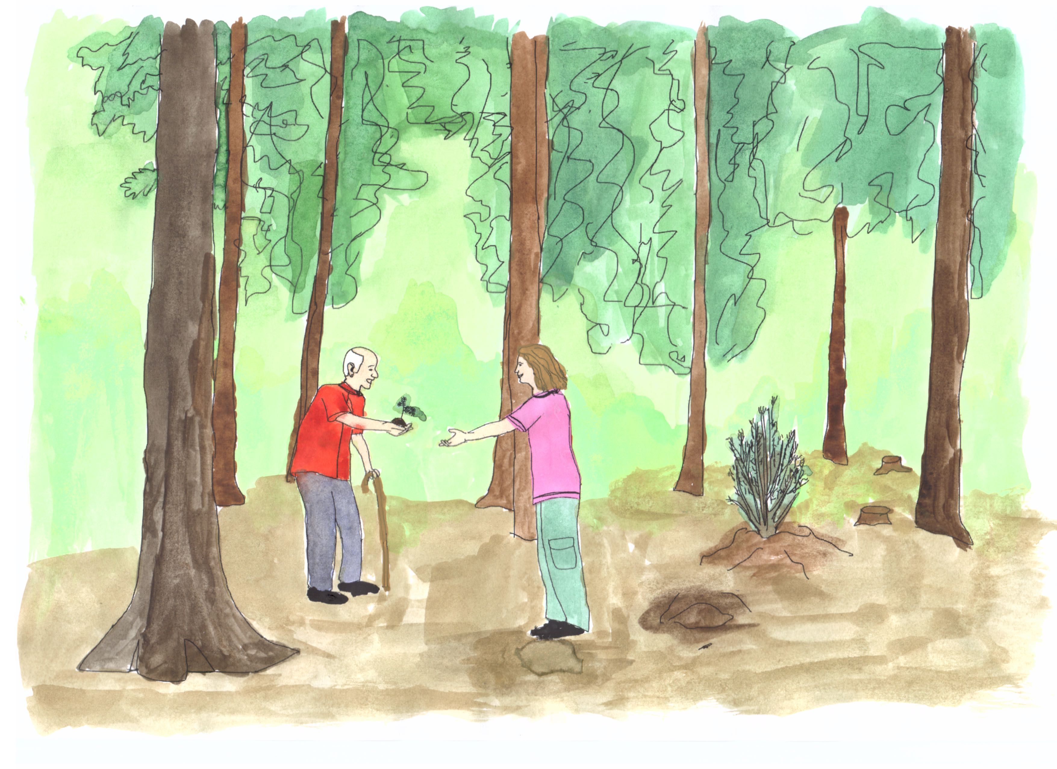 cap-reforestation-illustration